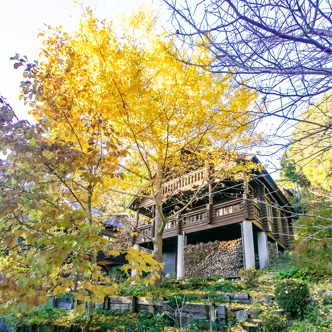 「緑に包まれた大人の隠れ家！有田川町生石のログハウス物件」のメイン画像