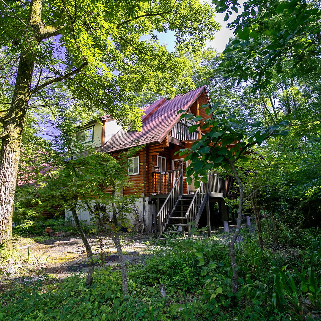 「囲炉裏小屋のある庭が魅力！高島市マキノ町のログハウス物件」のメイン画像