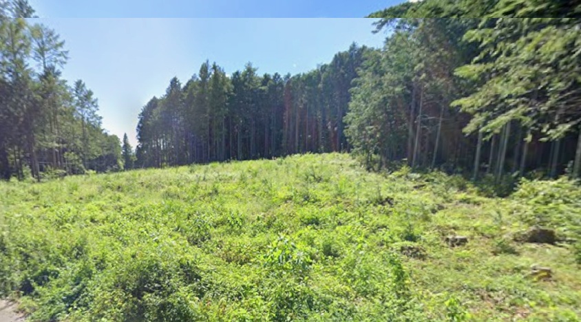 「宮田村【山林】土地活用は令和10年頃より可能」のメイン画像