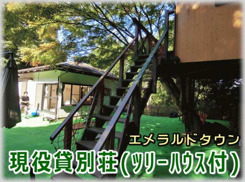 「庭にツリーハウスのある面白い平屋！田方郡函南町平井の物件」のメイン画像