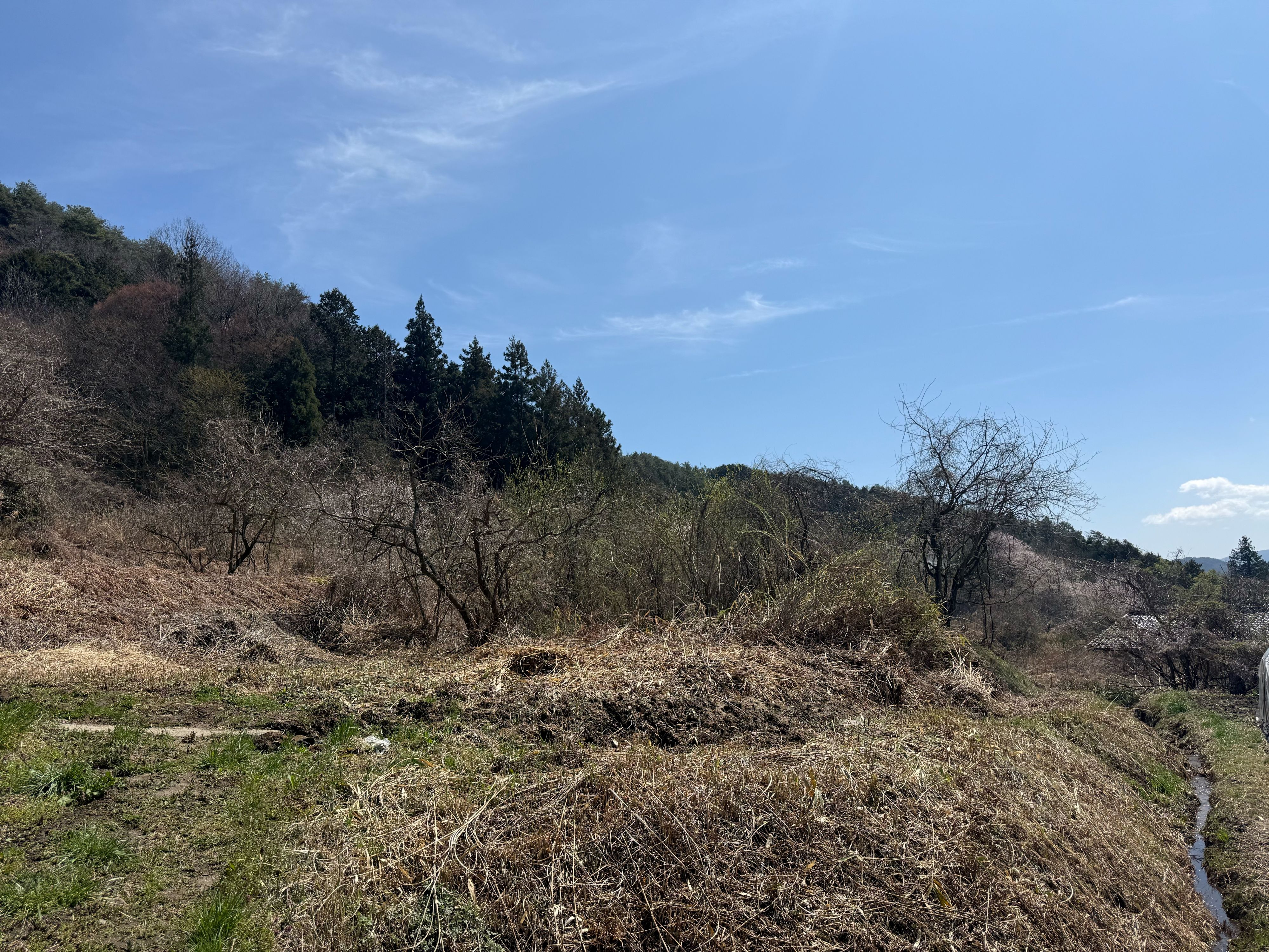 農業用土地です。陽当たり良好。の画像2