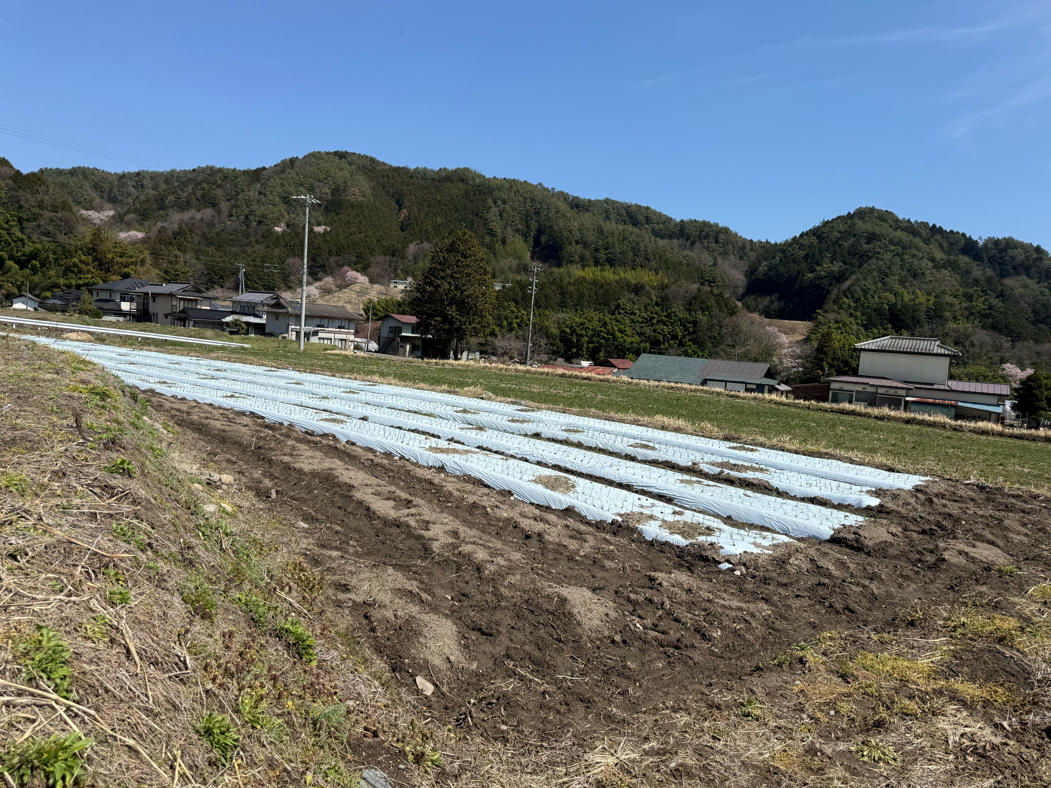 農業向け土地です。陽当たり良好。の画像2