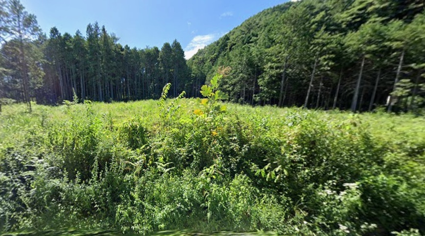宮田村【山林】土地活用は令和10年頃より可能の画像2
