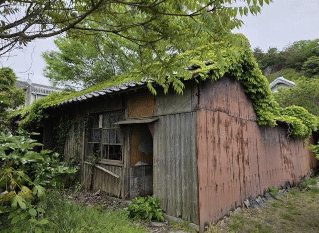 熊毛郡平生町 大字曽根 (田布施駅) 1階建 3DKの画像2