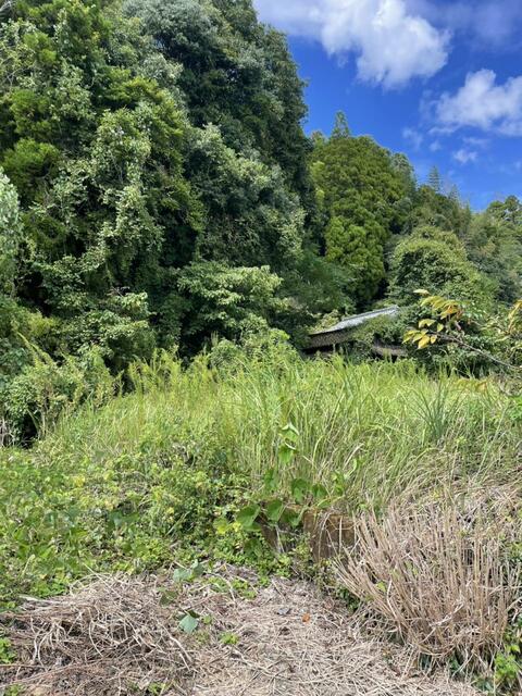 玉名郡南関町 大字高久野 (大牟田駅) 2階建 3DKの画像2