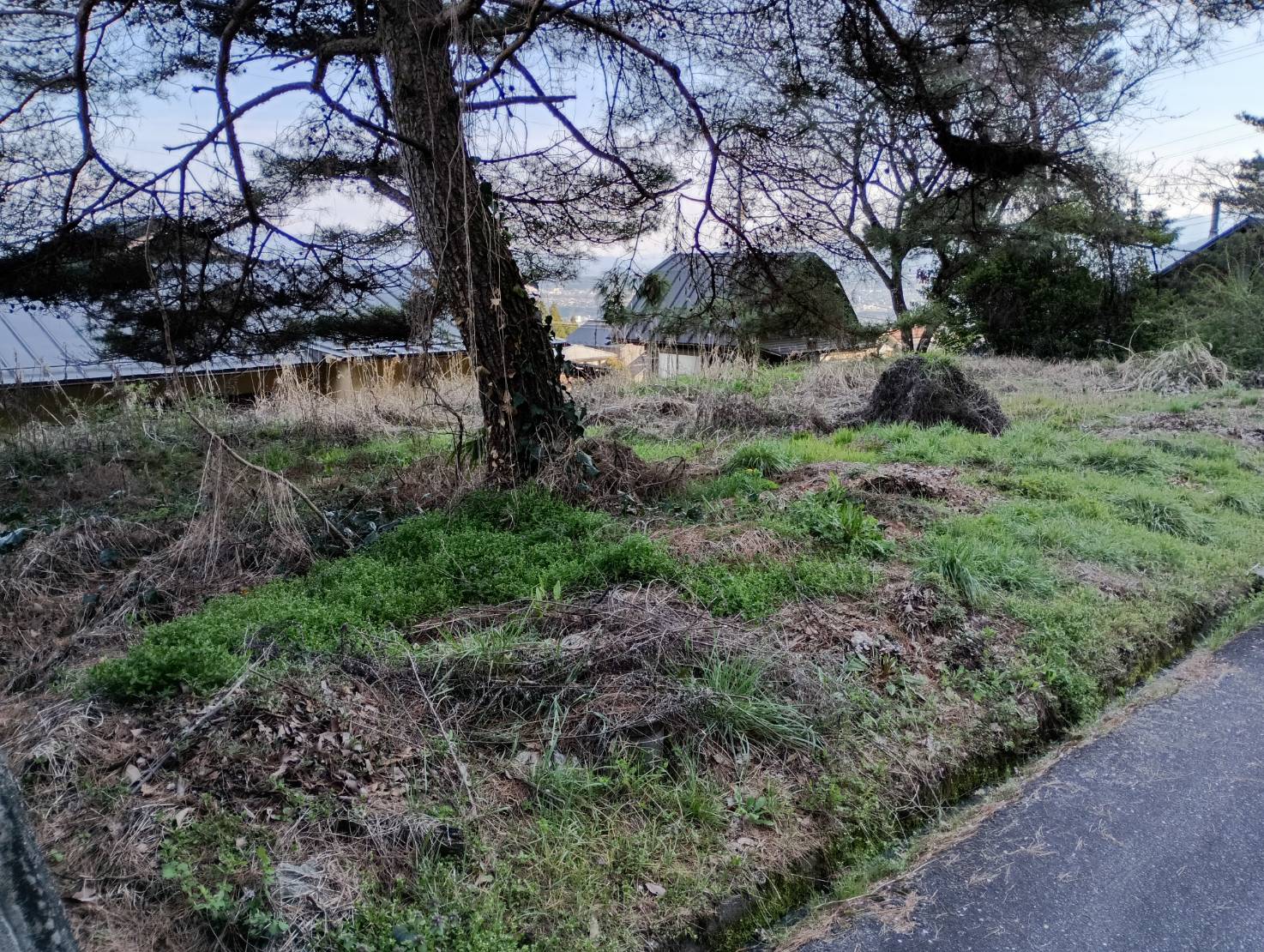 閑静な場所に立地！住宅向け宅地です。の画像3