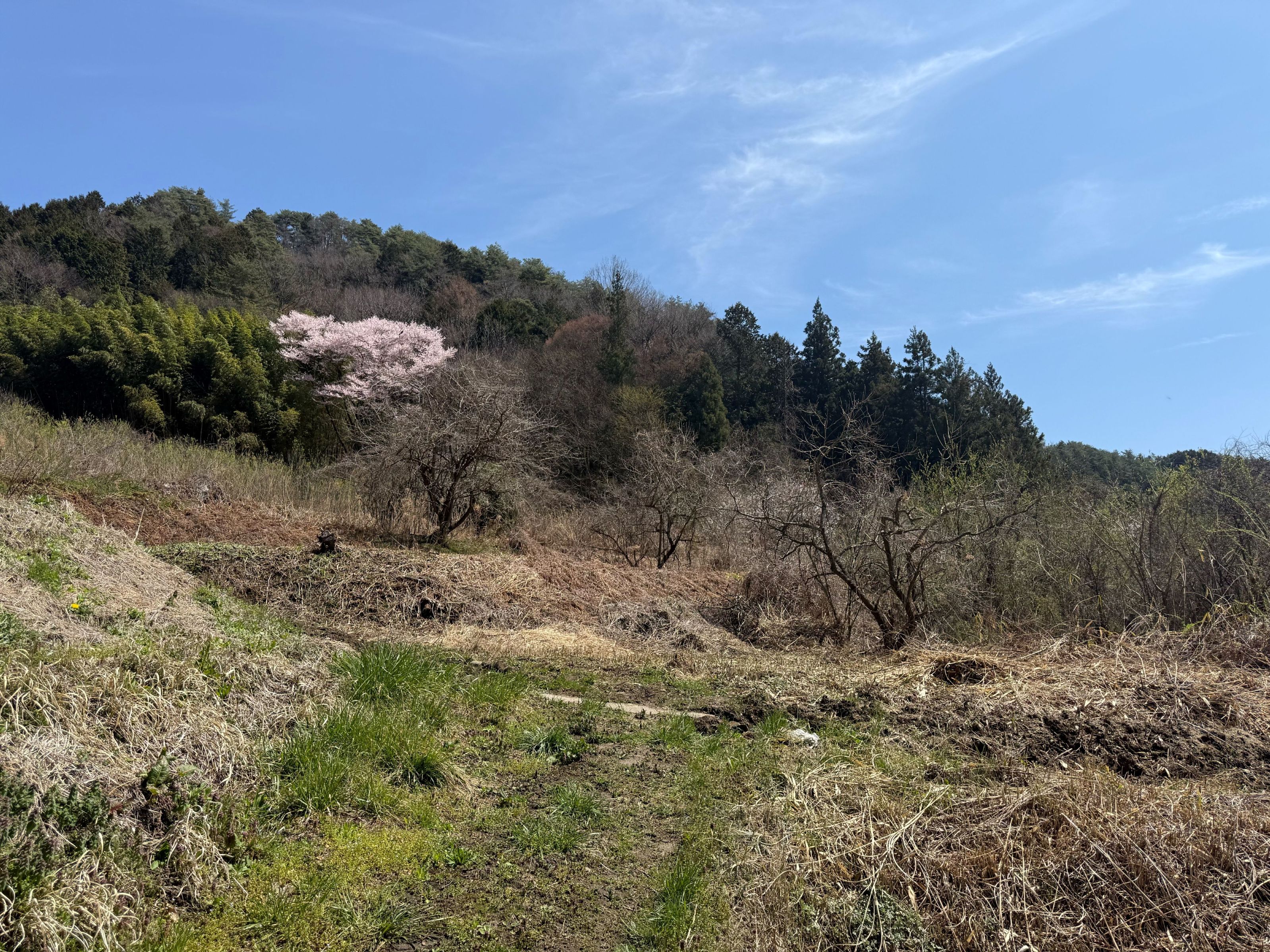 農業用土地です。陽当たり良好。の画像3