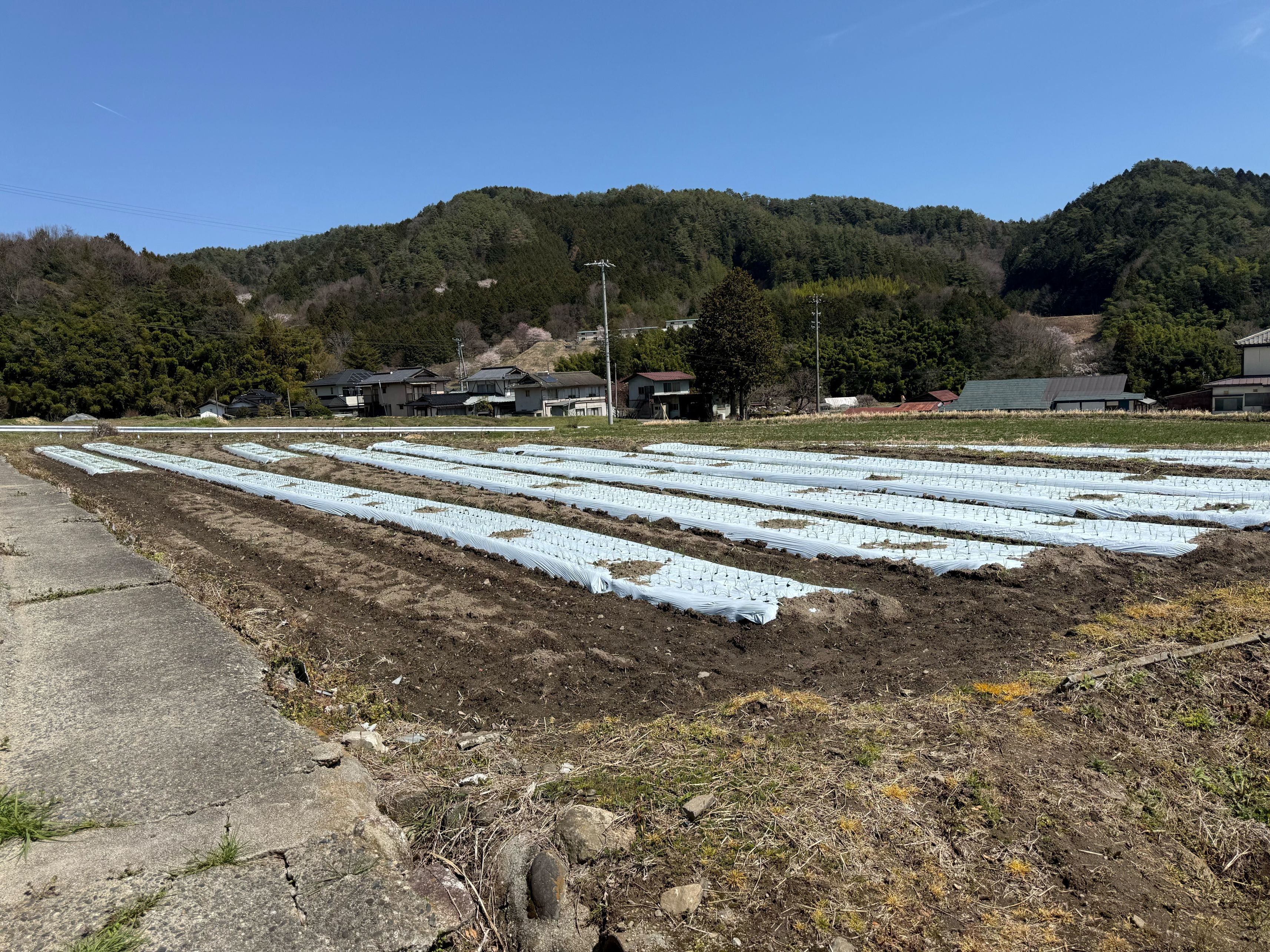 農業向け土地です。陽当たり良好。の画像3