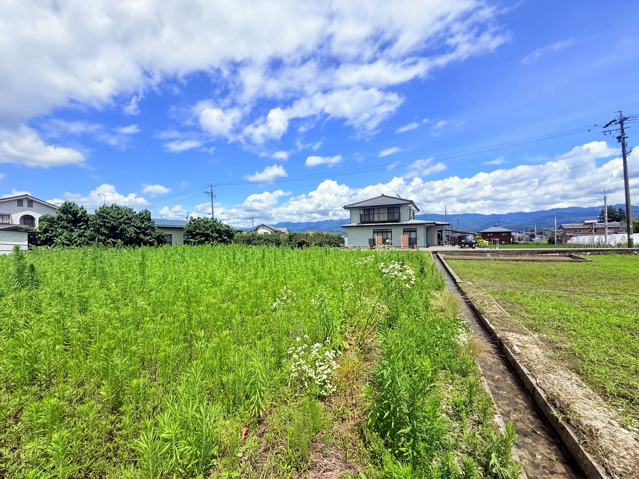 ①【鼎上茶屋・建築条件なし】約72～83坪の広々3区画！の画像3