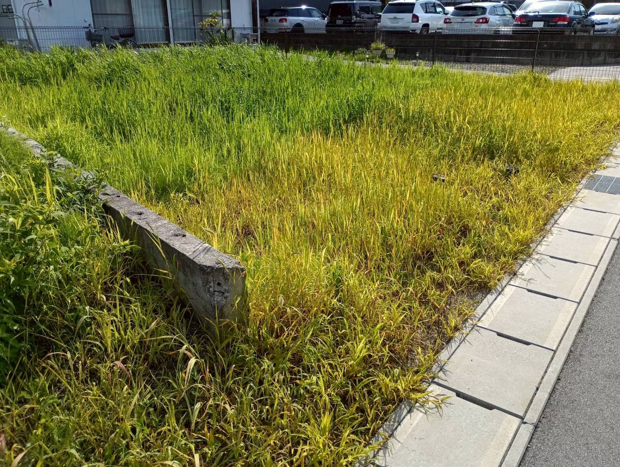 飯田駅まで徒歩約10分、生活利便性に優れた土地ですの画像3