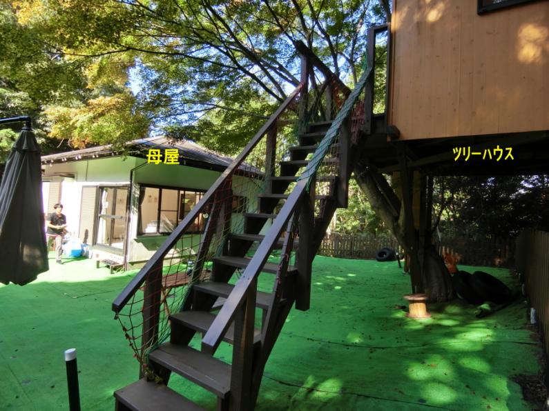 庭にツリーハウスのある面白い平屋！田方郡函南町平井の物件の画像3