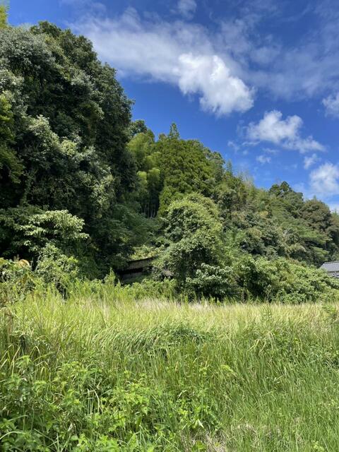玉名郡南関町 大字高久野 (大牟田駅) 2階建 3DKの画像3