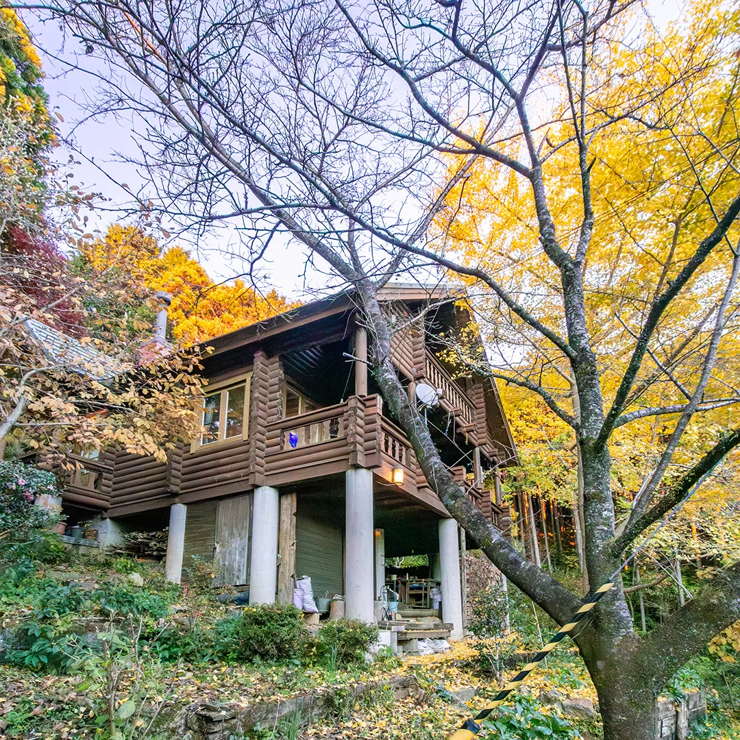 緑に包まれた大人の隠れ家！有田川町生石のログハウス物件の画像4