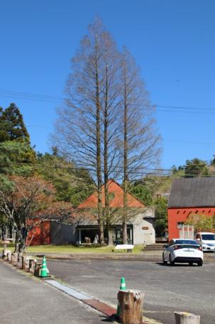 避暑地で夏を満喫！小川沿いの伊賀市北山の中古ログハウス物件の画像4