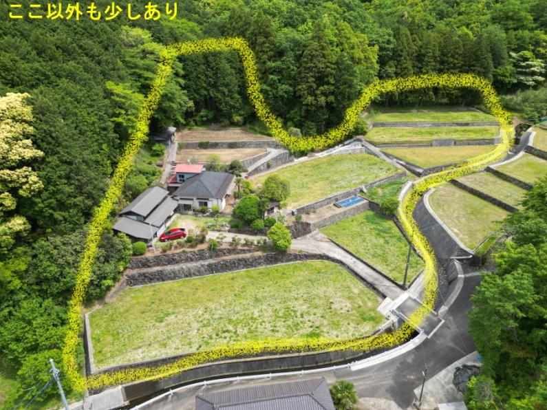田畑10枚付き！伊豆市中原戸の古民家物件の画像4