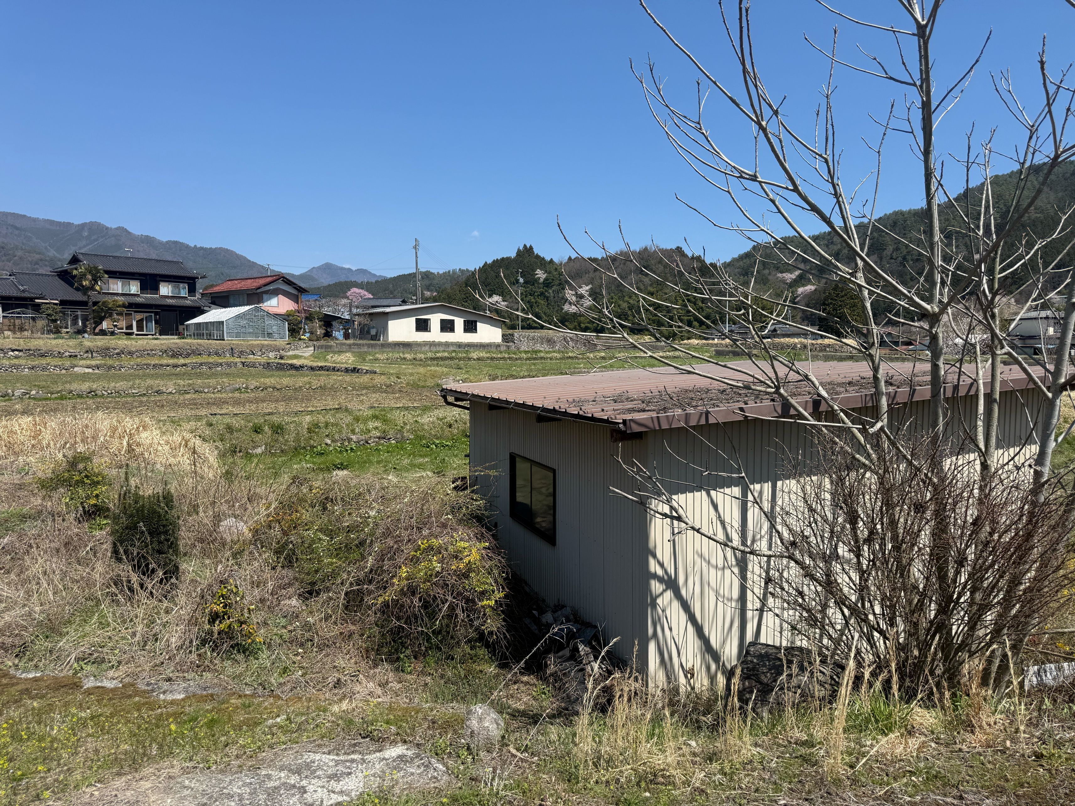 農業用土地です。陽当たり良好。の画像4