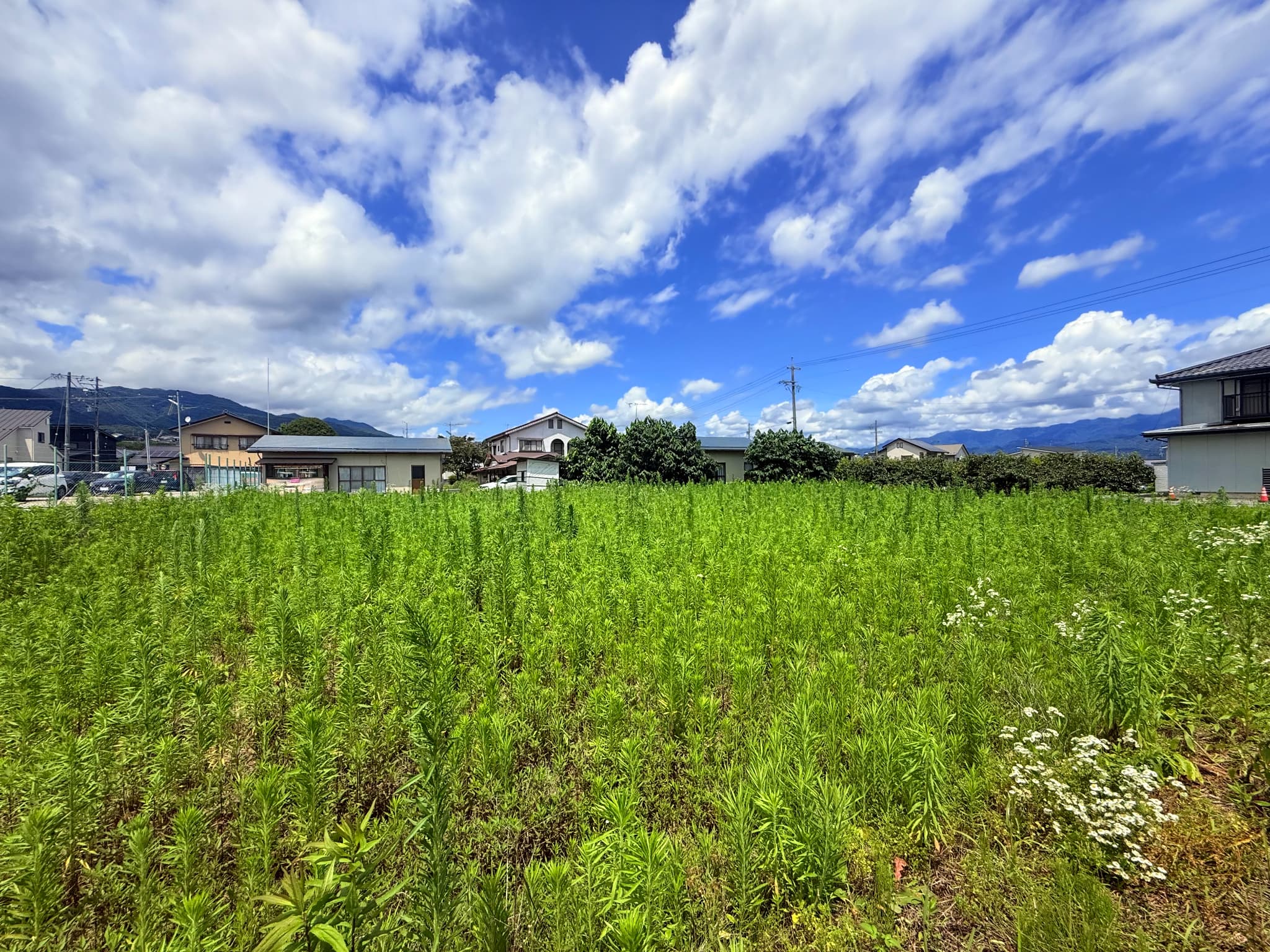 ③【鼎上茶屋・建築条件なし】約72～83坪の広々3区画！の画像4