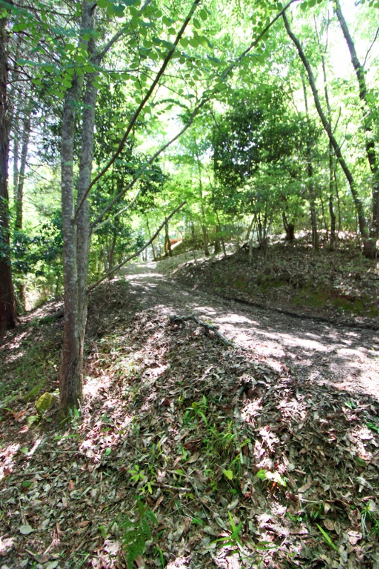 広大な敷地に佇むデザイナーズハウス！相楽郡南山城村田山の中古別荘物件の画像4
