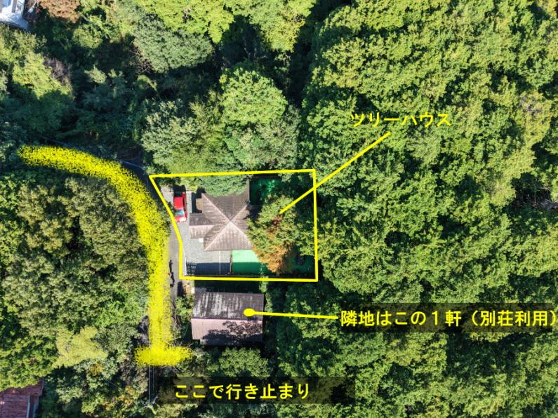 庭にツリーハウスのある面白い平屋！田方郡函南町平井の物件の画像4