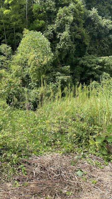 玉名郡南関町 大字高久野 (大牟田駅) 2階建 3DKの画像4