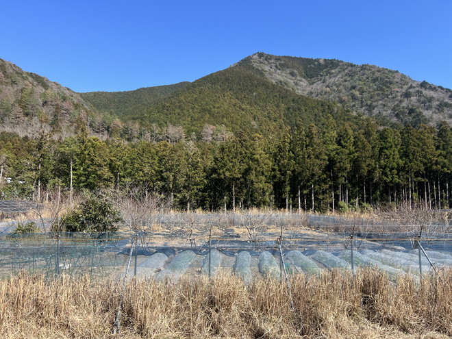 有機野菜の生産ライセンス付き！度会郡大紀町大内山の土地建物物件の画像5