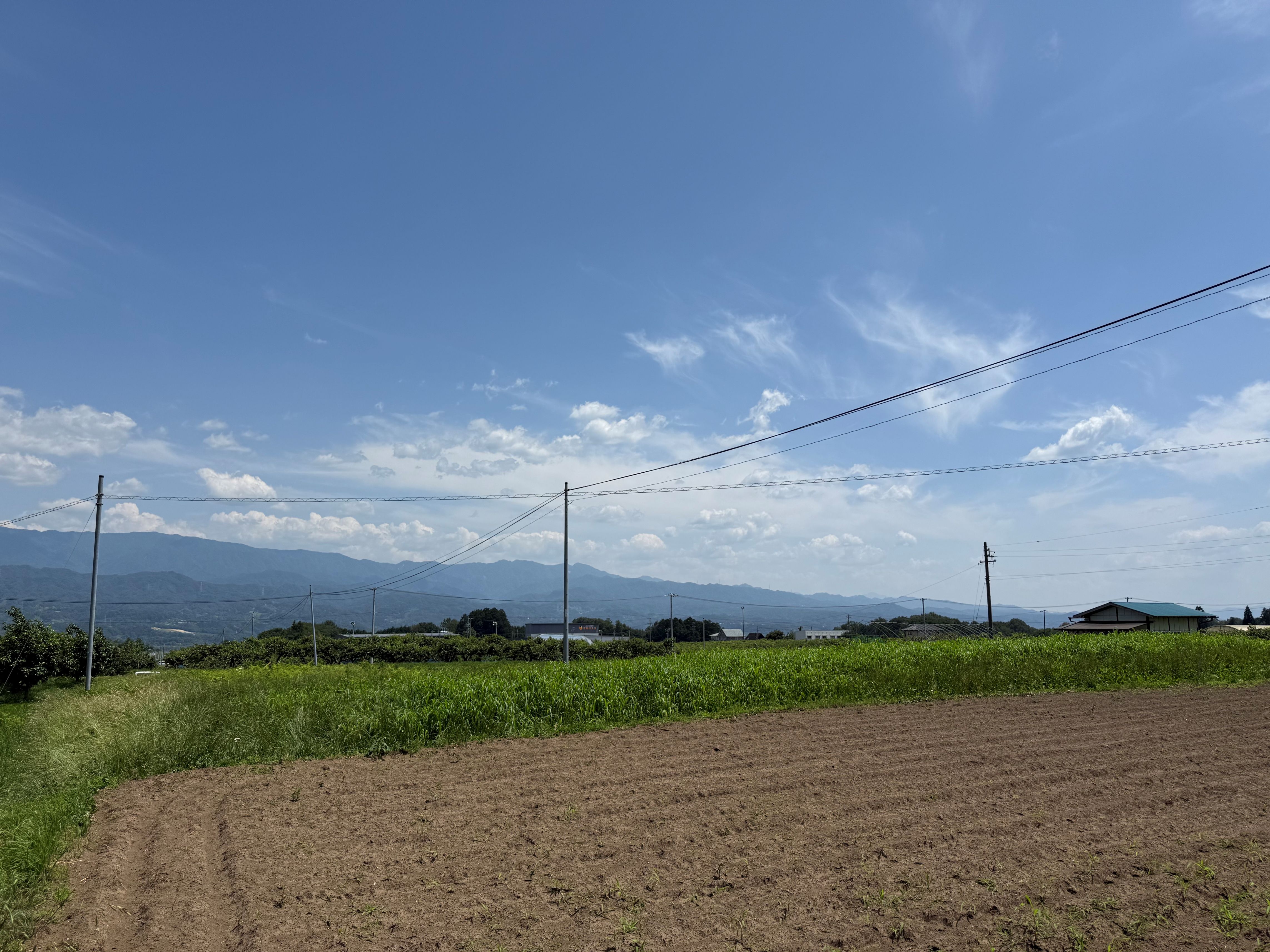 閑静な場所に立地！南アルプス一望のとても景色の良い分譲地です！の画像5