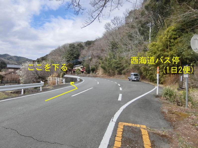 修善寺駅まで6.6km！伊豆市大平柿木の物件の画像5