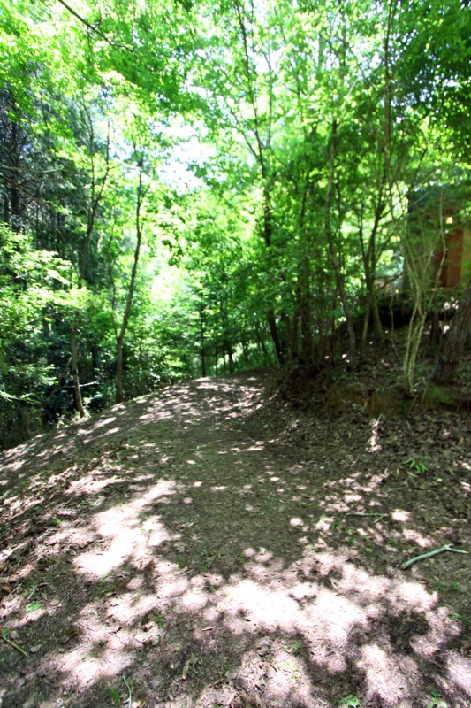 広大な敷地に佇むデザイナーズハウス！相楽郡南山城村田山の中古別荘物件の画像5