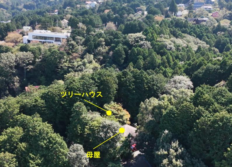 庭にツリーハウスのある面白い平屋！田方郡函南町平井の物件の画像5