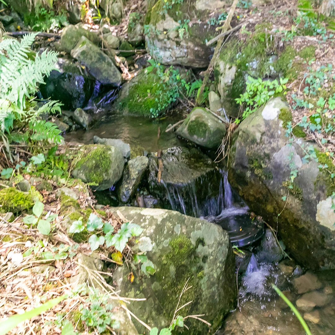 せせらぎを感じるウッドデッキ付き！宍粟市一宮町東河内峰山のログハウス物件の画像6