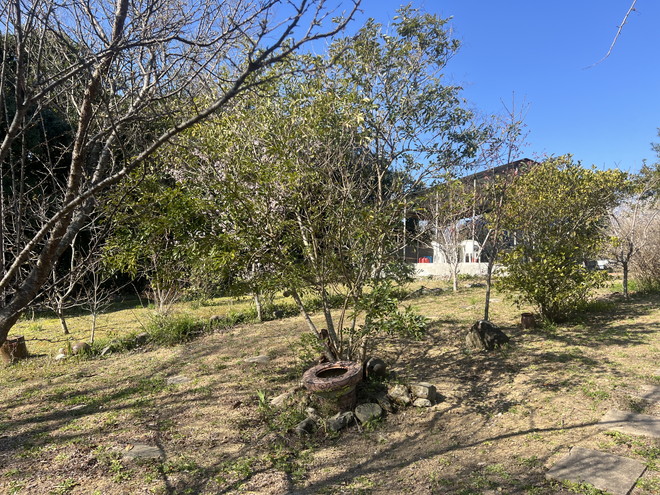 菜園・畑に最適！小屋付き志摩市阿児町甲賀の物件の画像6
