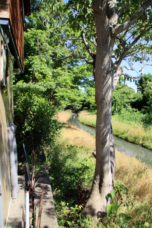 DIY好き必見！高島市新旭町の中古別荘物件の画像6