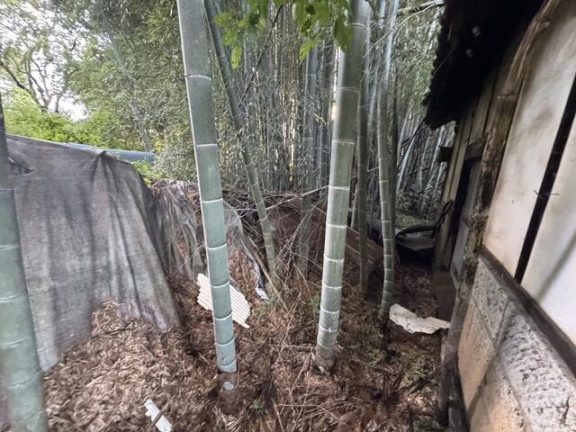 小美玉市 堅倉 (羽鳥駅) 1階建 2DKの画像6
