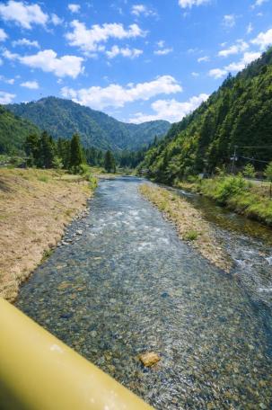 由良川沿いの広大な敷地！南丹市美山町田歌の中古物件の画像7