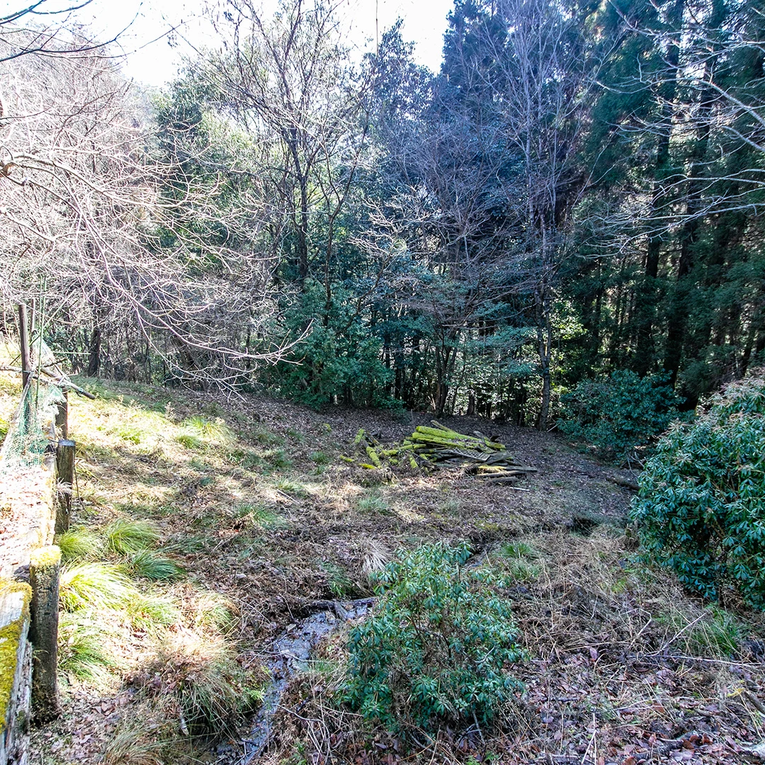自然に囲まれた広いウッドデッキ付き！姫路市安富町皆河関のログハウス物件の画像7