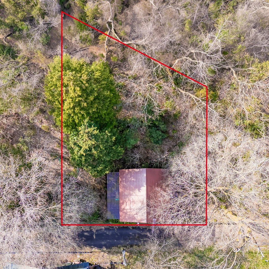 ガーデニングも家庭菜園も楽しめる！高島市今津町梅原のウッディハウス物件の画像7