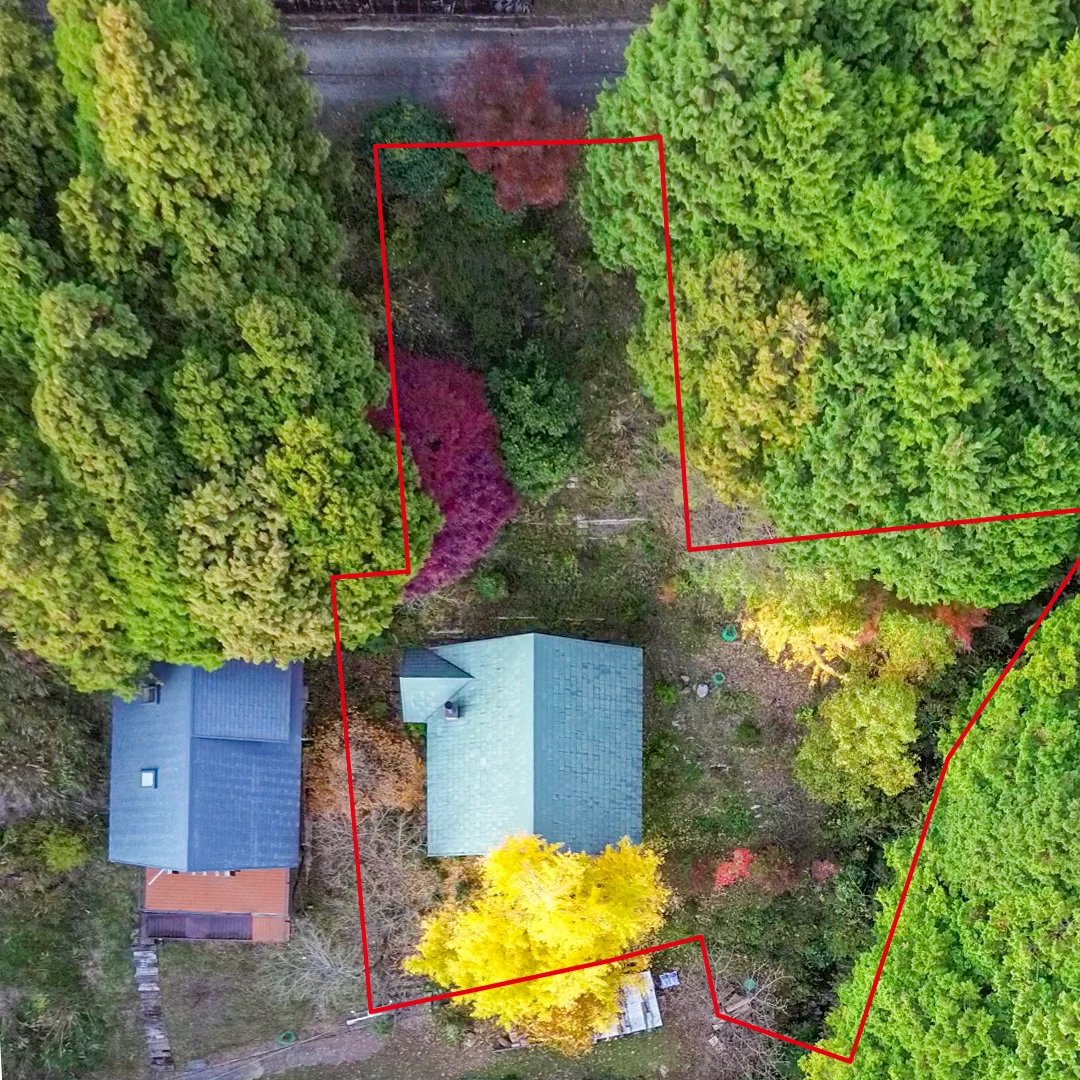 緑に包まれた大人の隠れ家！有田川町生石のログハウス物件の画像7