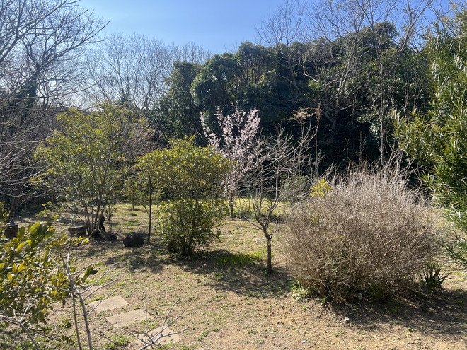 菜園・畑に最適！小屋付き志摩市阿児町甲賀の物件の画像7