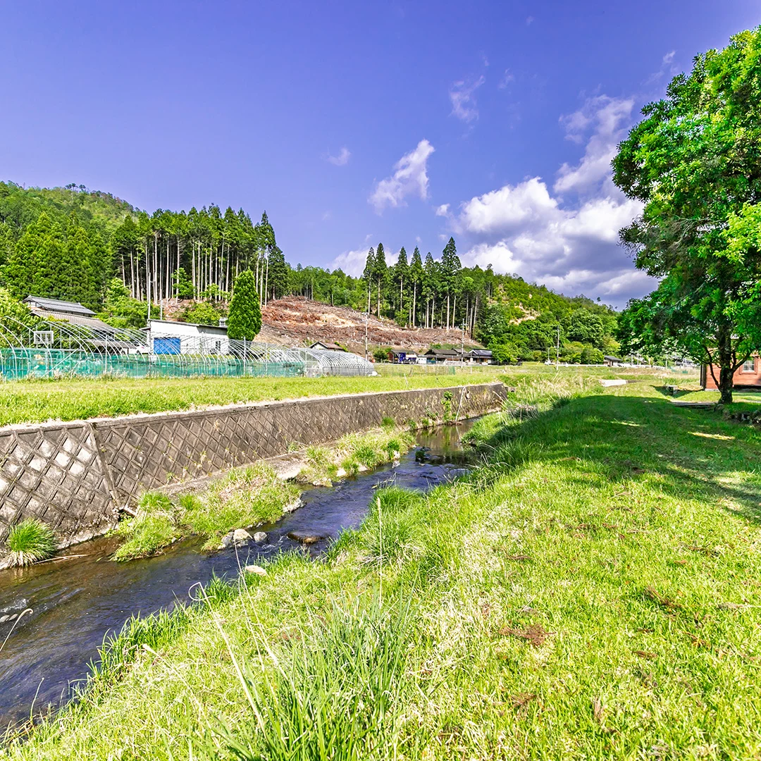囲炉裏と薪ストーブで暖まる！南丹市日吉町佐々江のログハウス物件の画像7