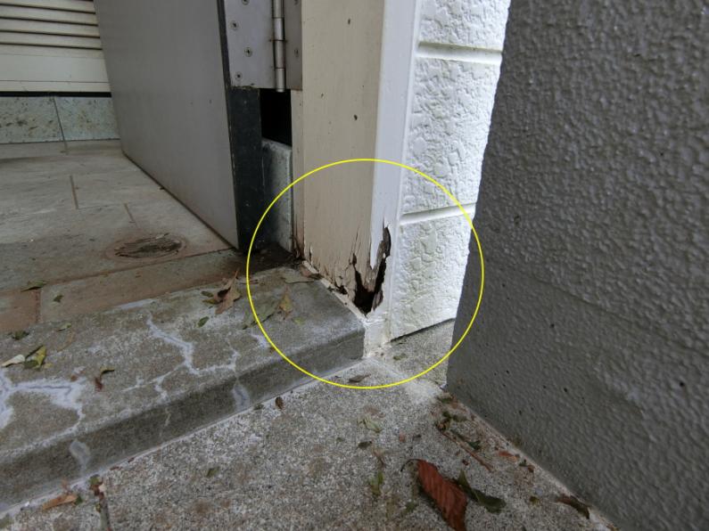 磨けば光る全室オーシャンビュー！伊東市赤沢の物件の画像7