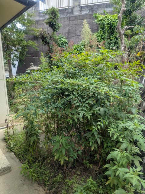 浜田市 熱田町 (西浜田駅) 2階建 3DKの画像7