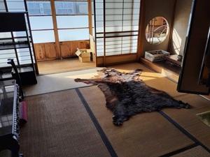 下新川郡入善町 舟見 (下立駅) 2階建 3DKの画像7