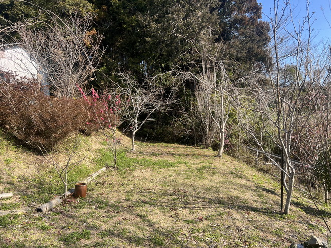 菜園・畑に最適！小屋付き志摩市阿児町甲賀の物件の画像8