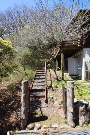 避暑地の香り漂うログハウス！伊賀市北山の中古ログハウス物件の画像8