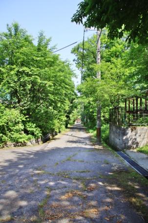 広い庭でドッグランも楽しめる！高島市マキノ町の中古別荘物件の画像8
