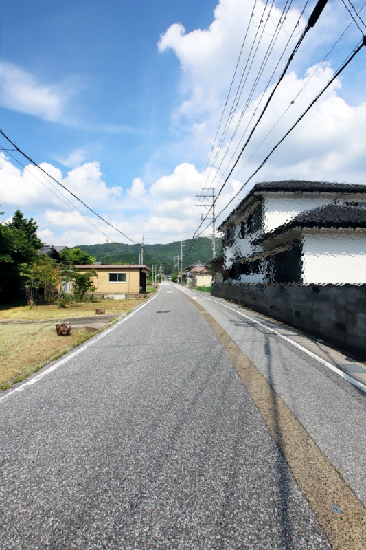 広大な日本庭園とドッグラン付き！米原市大野木の中古戸建物件の画像8