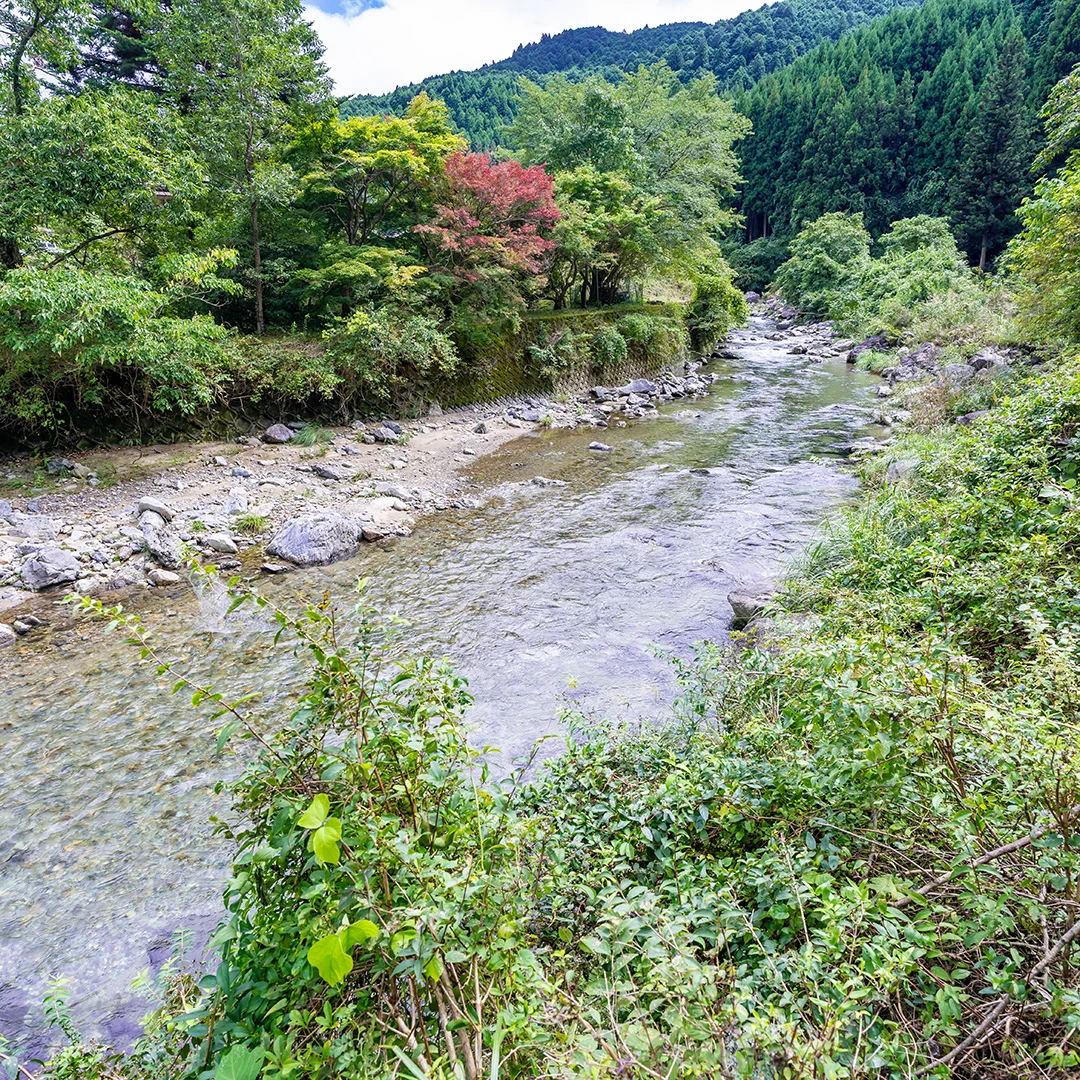 清流を望む贅沢な暮らし！東吉野村木津のログハウス物件の画像8