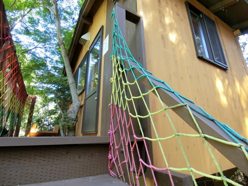 庭にツリーハウスのある面白い平屋！田方郡函南町平井の物件の画像8