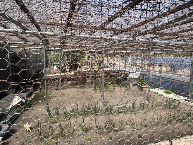 有機野菜の生産ライセンス付き！度会郡大紀町大内山の土地建物物件の画像9
