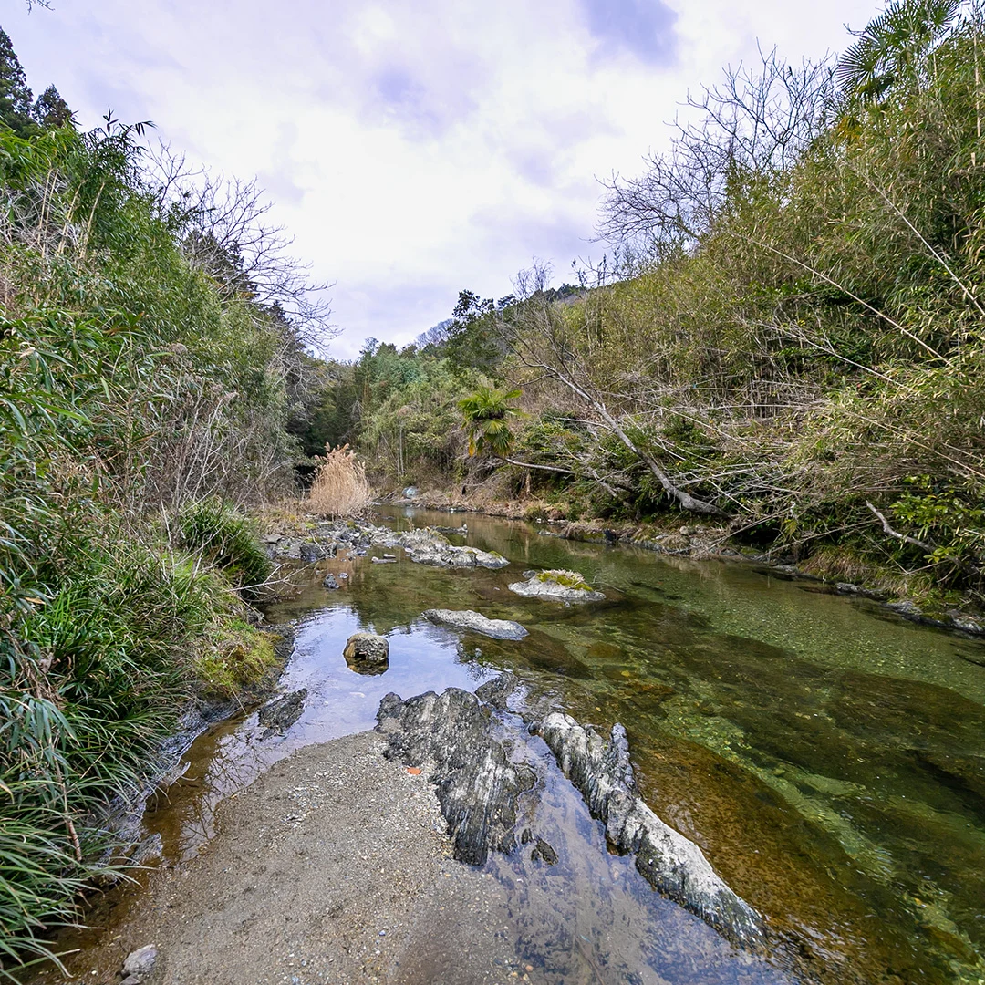 山と川に癒される高台の隠れ家！紀の川市中鞆渕のログハウス物件の画像9